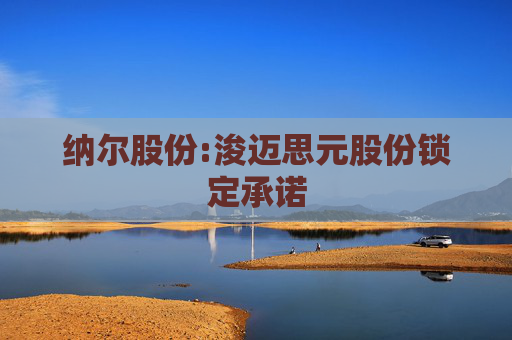纳尔股份:浚迈思元股份锁定承诺