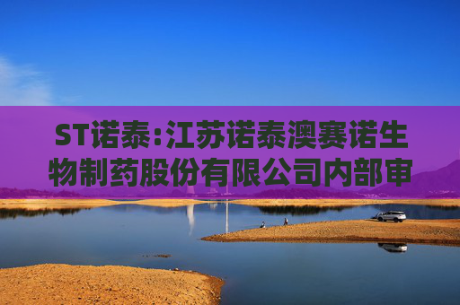 ST诺泰:江苏诺泰澳赛诺生物制药股份有限公司内部审计管理制度