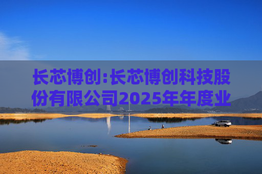 长芯博创:长芯博创科技股份有限公司2025年年度业绩预告  第1张