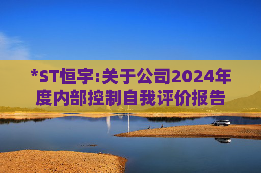 *ST恒宇:关于公司2024年度内部控制自我评价报告  第1张