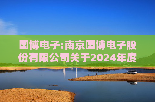 国博电子:南京国博电子股份有限公司关于2024年度募集资金存放与使用情况的专项报告