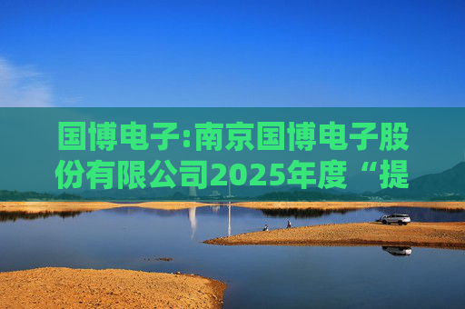 国博电子:南京国博电子股份有限公司2025年度“提质增效重回报”行动方案