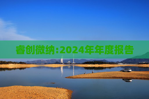 睿创微纳:2024年年度报告