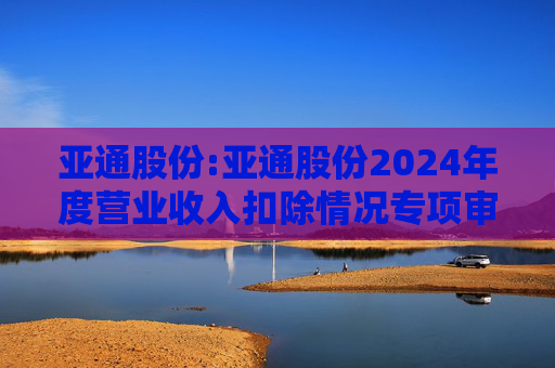 亚通股份:亚通股份2024年度营业收入扣除情况专项审核意见