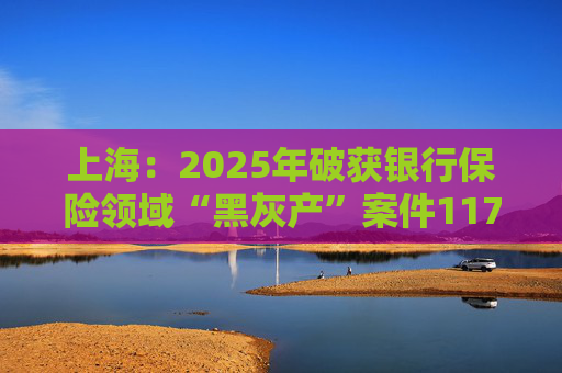 上海：2025年破获银行保险领域“黑灰产”案件117起 持续净化金融生态
