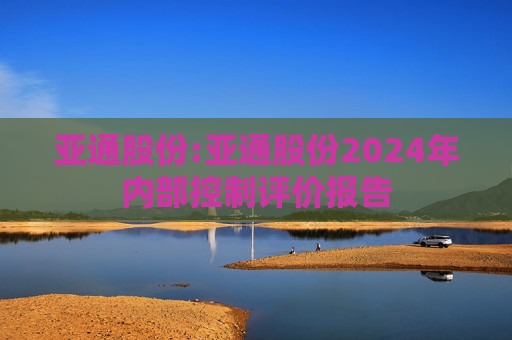 亚通股份:亚通股份2024年内部控制评价报告