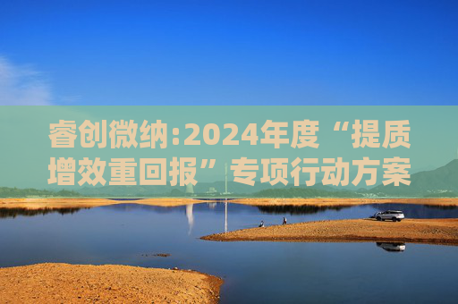 睿创微纳:2024年度“提质增效重回报”专项行动方案的评估报告暨2025年度“提质增效重回报”专项行动方案