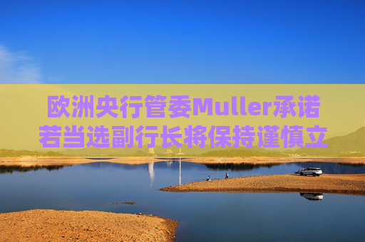 欧洲央行管委Muller承诺若当选副行长将保持谨慎立场