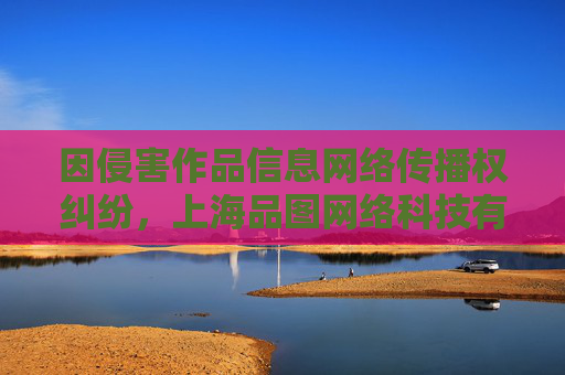 因侵害作品信息网络传播权纠纷，上海品图网络科技有限公司起诉天地数码