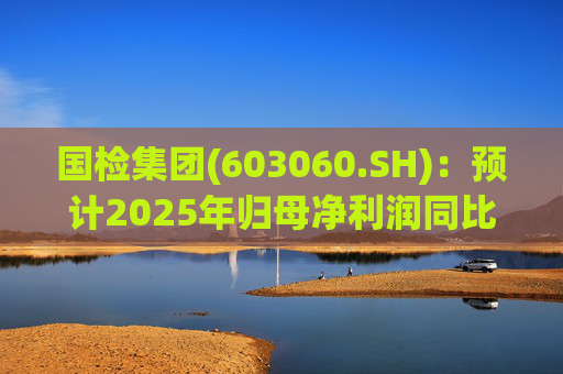 国检集团(603060.SH)：预计2025年归母净利润同比减少42.62%