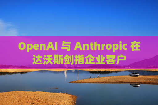 OpenAI 与 Anthropic 在达沃斯剑指企业客户