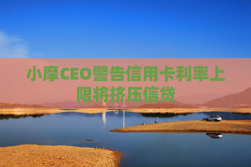 小摩CEO警告信用卡利率上限将挤压信贷
