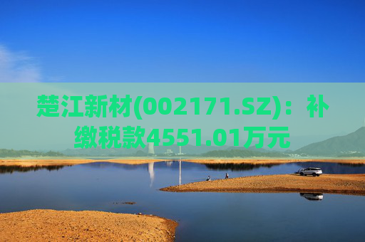 楚江新材(002171.SZ)：补缴税款4551.01万元