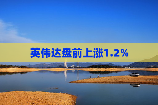 英伟达盘前上涨1.2%