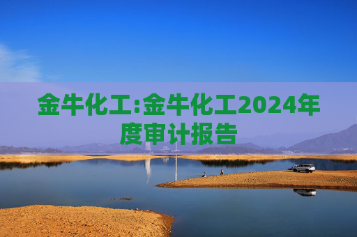 金牛化工:金牛化工2024年度审计报告