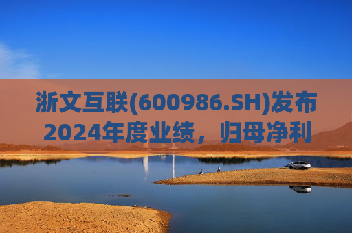 浙文互联(600986.SH)发布2024年度业绩，归母净利润1.58亿元，下降17.92%  第1张