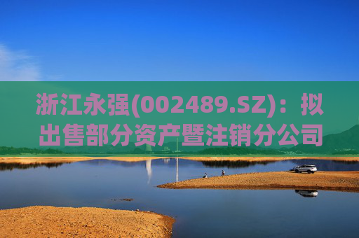 浙江永强(002489.SZ):拟出售部分资产暨注销分公司