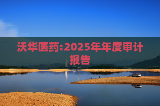 沃华医药:2025年年度审计报告