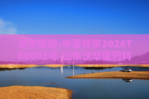 沃华医药:中喜特审2026T00003号-山东沃华医药科技股份有限公司-关联资金占用报告