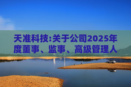 天准科技:关于公司2025年度董事、监事、高级管理人员薪酬方案的公告