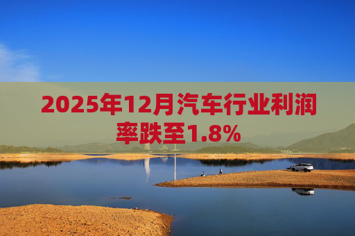 2025年12月汽车行业利润率跌至1.8%
