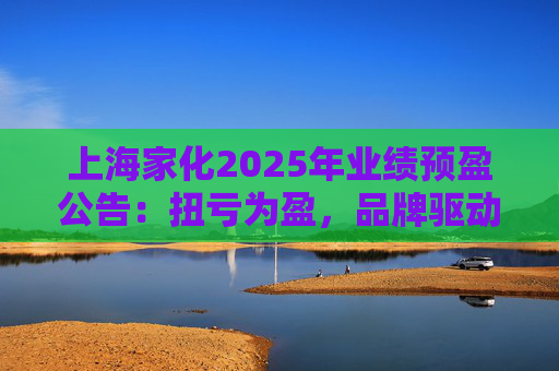 上海家化2025年业绩预盈公告：扭亏为盈，品牌驱动重回增长轨道