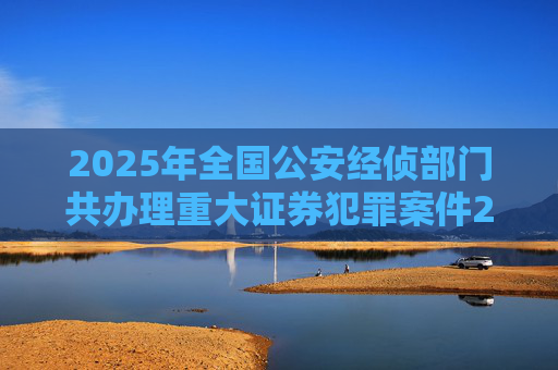 2025年全国公安经侦部门共办理重大证券犯罪案件200余起