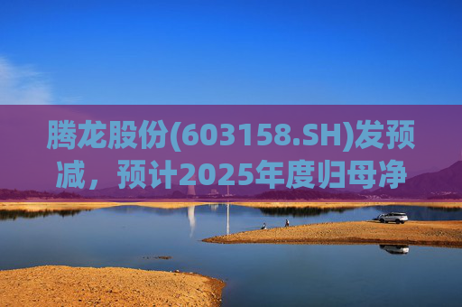 腾龙股份(603158.SH)发预减，预计2025年度归母净利润4600万元至6900万元，同比减少81.59%至72.38%  第1张