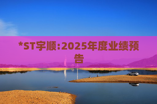 *ST宇顺:2025年度业绩预告