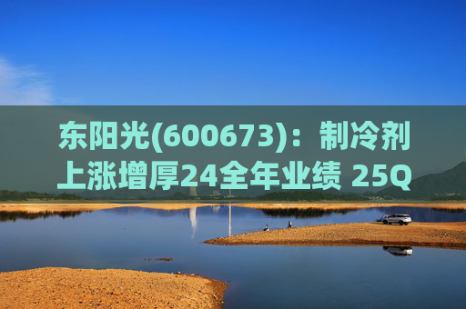 东阳光(600673):制冷剂上涨增厚24全年业绩 25Q1业绩略超预期 液冷与具身智能共创未来 第1张 东阳光(600673):制冷剂上涨增厚24全年业绩 25Q1业绩略超预期 液冷与具身智能共创未来 第1张