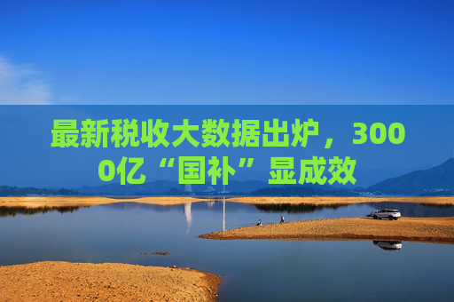 最新税收大数据出炉，3000亿“国补”显成效