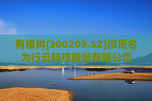 有棵树(300209.SZ)拟更名为行云科技股份有限公司
