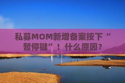 私募MOM新增备案按下“暂停键”！什么原因？