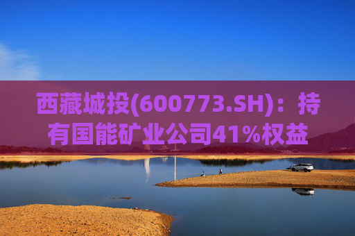 西藏城投(600773.SH)：持有国能矿业公司41%权益