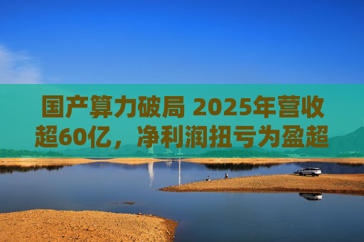 国产算力破局 2025年营收超60亿，净利润扭亏为盈超18亿