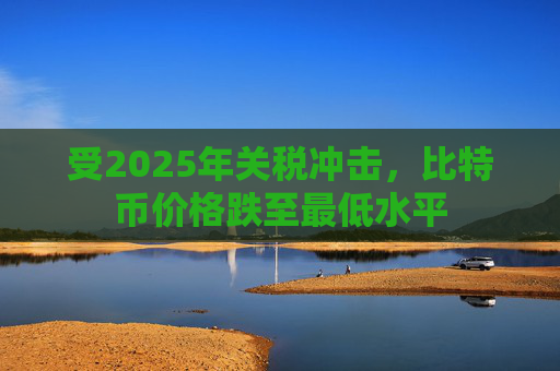 受2025年关税冲击，比特币价格跌至最低水平  第1张