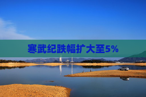 寒武纪跌幅扩大至5%