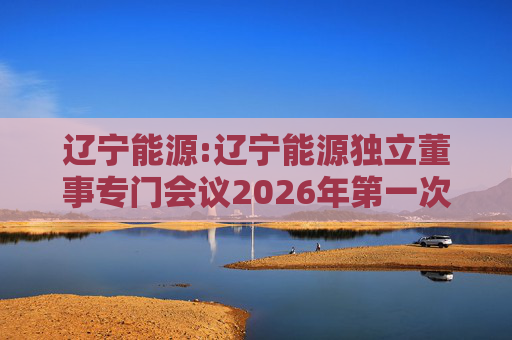 辽宁能源:辽宁能源独立董事专门会议2026年第一次会议决议