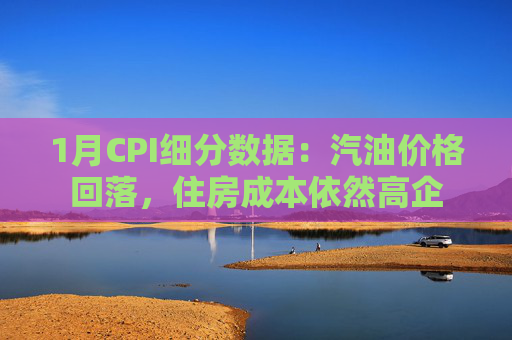 1月CPI细分数据：汽油价格回落，住房成本依然高企  第1张