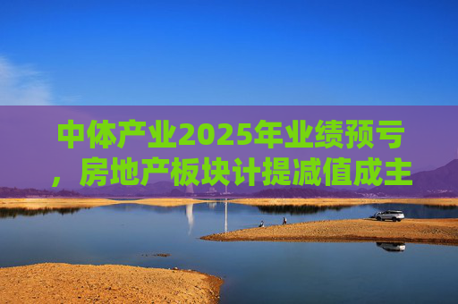 中体产业2025年业绩预亏，房地产板块计提减值成主因