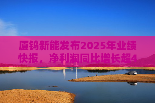 厦钨新能发布2025年业绩快报，净利润同比增长超40%