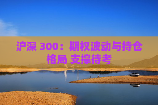 沪深 300：期权波动与持仓格局 支撑待考  第1张
