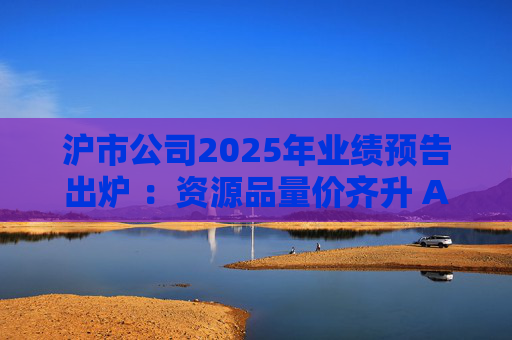 沪市公司2025年业绩预告出炉 ：资源品量价齐升 AI链景气延续