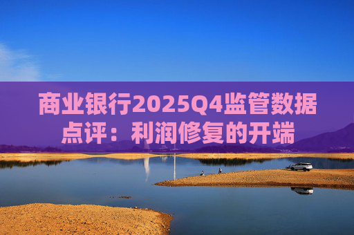 商业银行2025Q4监管数据点评：利润修复的开端  第1张