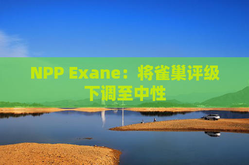 NPP Exane：将雀巢评级下调至中性  第1张
