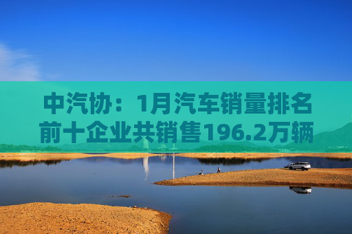 中汽协：1月汽车销量排名前十企业共销售196.2万辆