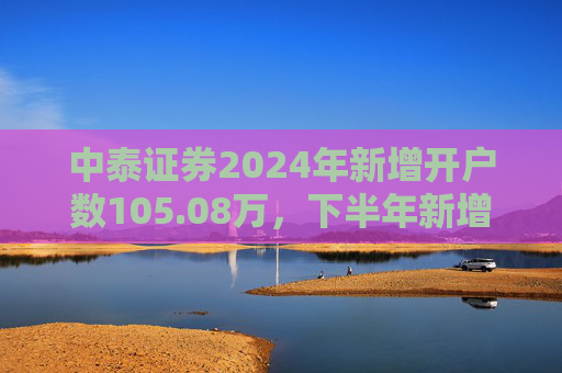 中泰证券2024年新增开户数105.08万，下半年新增开户43.1万环比降幅超30%  第1张