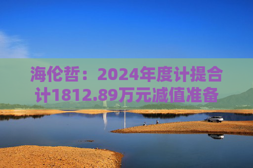 海伦哲：2024年度计提合计1812.89万元减值准备