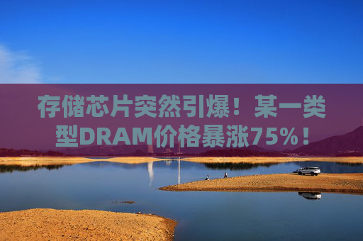 存储芯片突然引爆！某一类型DRAM价格暴涨75%！