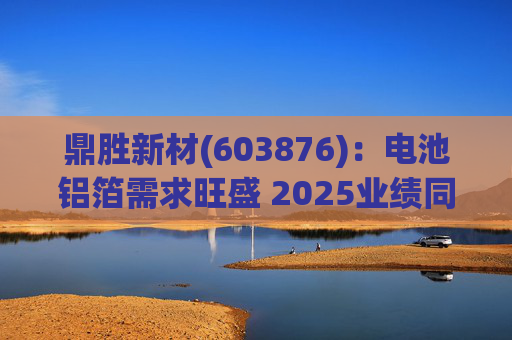 鼎胜新材(603876)：电池铝箔需求旺盛 2025业绩同比高增